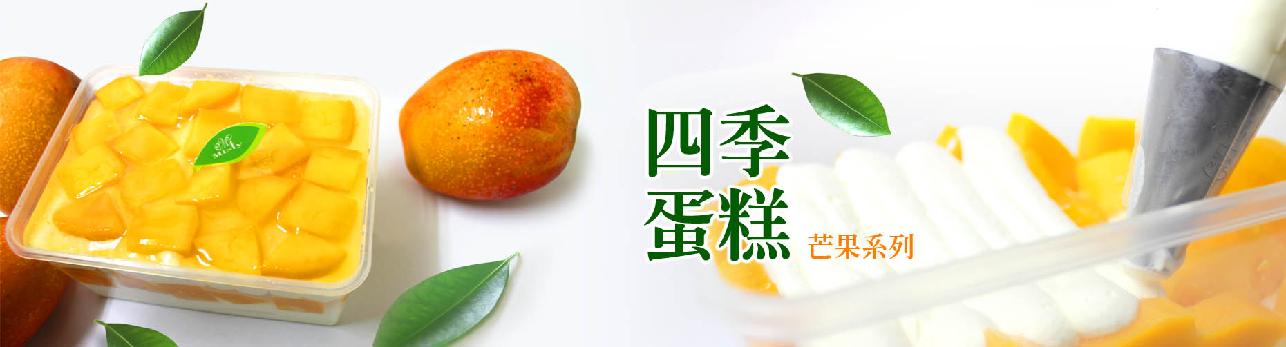 甜點,團購甜點,四季蛋糕,芒果蛋糕,草莓蛋糕,冰淇淋泡芙,提拉米蘇寶盒,九份,米詩堤,米詩堤甜點王國,misty,熱門團購,黃金泡芙,百分比生乳蛋糕,生乳捲,米詩堤甜點王國,黃金泡芙,九份芋捲,芋泥捲,芋頭捲,地瓜泡芙,貝多芬,貝多芬蛋糕,瑞士捲,彌月蛋糕,九份名產,瑞芳名產,九份伴手禮,奶凍捲,蛋糕,下午茶,金瓜石,瑞芳,網路團購,美食,新北市十大伴手禮,甜點推薦